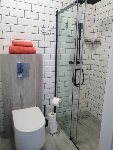 a bathroom with a toilet and a glass shower at Apartamenty u Portera w Centrum in Gdynia