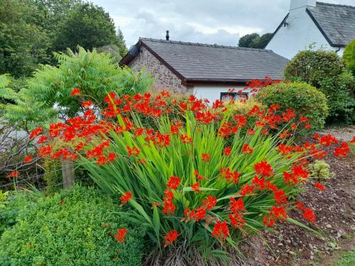 Galería fotográfica de Auld Ffynnon en Brecon