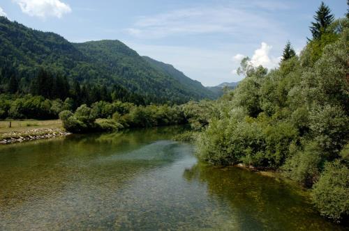 Paisaje cerca de este apartamento