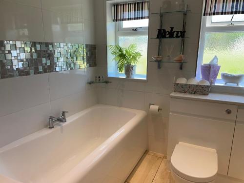 uma casa de banho com uma banheira, um WC e uma janela. em Westerley Country B & B with exclusive Guest lounge em Buckfastleigh