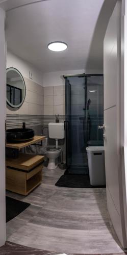 a bathroom with a shower and a toilet and a sink at Apartman Noel Peroj centar in Peroj