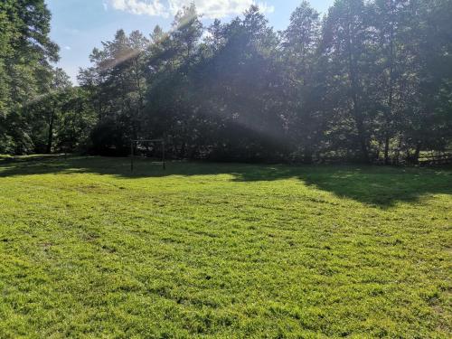 a large grass field with trees in the background at Fontana erdélyi vendégház in Odorheiu Secuiesc
