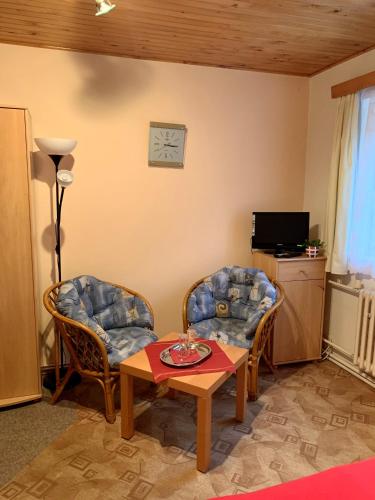 TV a/nebo společenská místnost v ubytování Penzion Vanessa