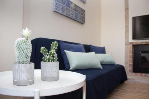 a living room with a blue couch and a table with cactus at Templar Spot in Tomar