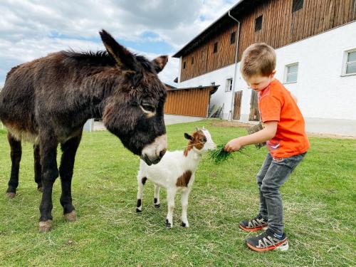 アパートメントの敷地内または近くにいる動物