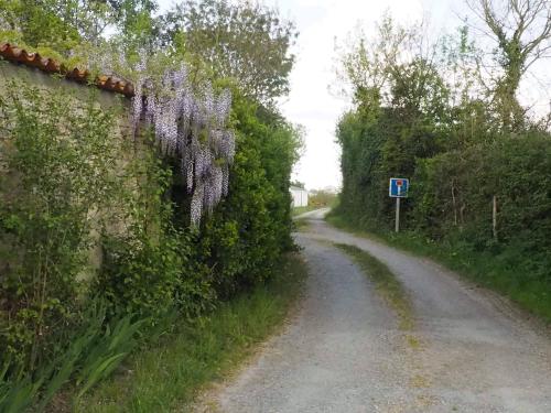 a road with wisteria on the side of a wall at Des Km à La Ronde in La Ronde