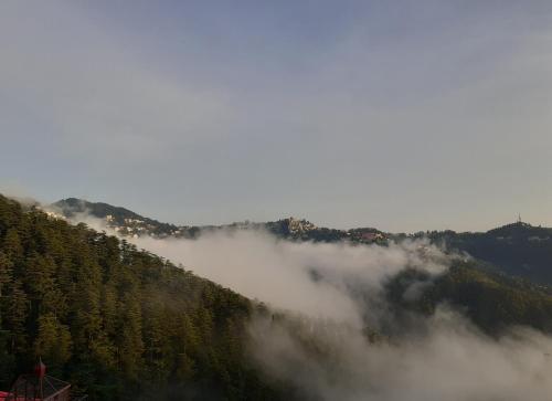 a view of a mountain with fog in the forest at Anand Niketan Homestay Shimla in Shimla