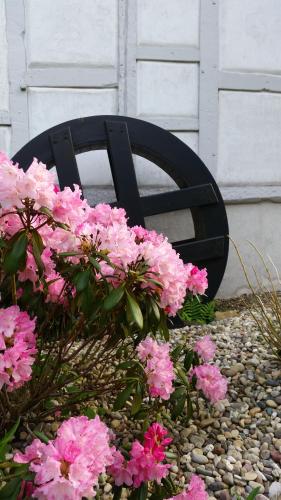 a black metal sign sitting next to pink flowers at Kehrmühle in Ober Kostenz