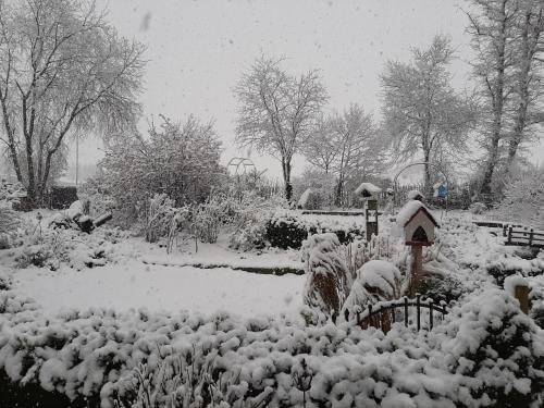 a garden covered in snow with a bird house at Kehrmühle in Ober Kostenz