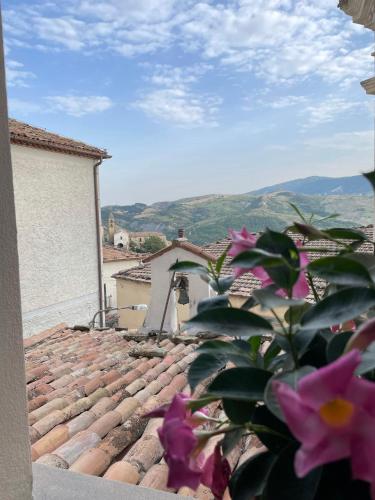 a view from the roof of a house with purple flowers at Petra Holiday Home in Pietrapertosa