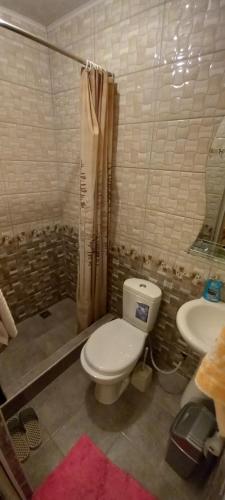 a bathroom with a toilet and a sink at Serik & Geora Guesthouse in Sevan