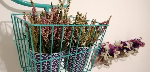 Afbeelding uit fotogalerij van Dama Bed & Breakfast in Foligno