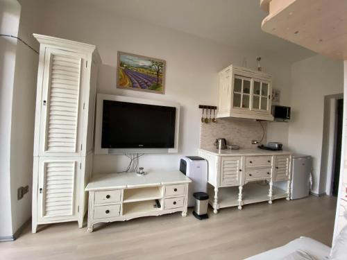 TV a/nebo společenská místnost v ubytování Apartmán Slapy-Ždáň