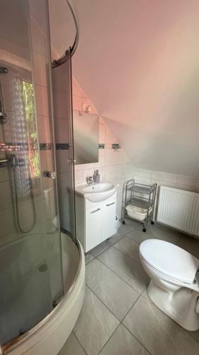 a bathroom with a shower and a toilet and a sink at NAJBLIŻEJ MORZA DOM CAŁOROCZNY Jastarnia in Jastarnia