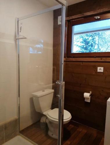La salle de bains est pourvue de toilettes et d'une porte de douche en verre. dans l'établissement Très bel appartement face au lac de Bozel, à Bozel