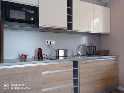 a kitchen with a sink and a microwave at Karos Bianco Apartmanház in Zalakaros