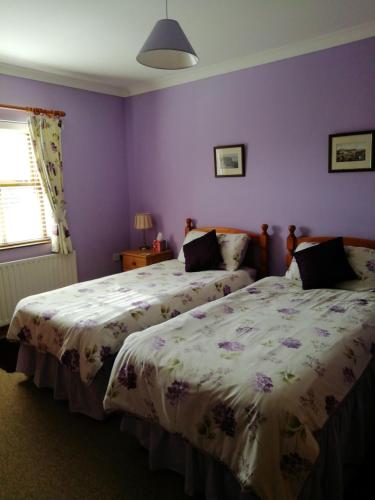 two beds in a bedroom with purple walls at Craig Cottage Self-catering in Bushmills
