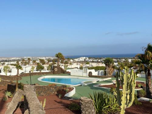 Sea Star Lanzarote