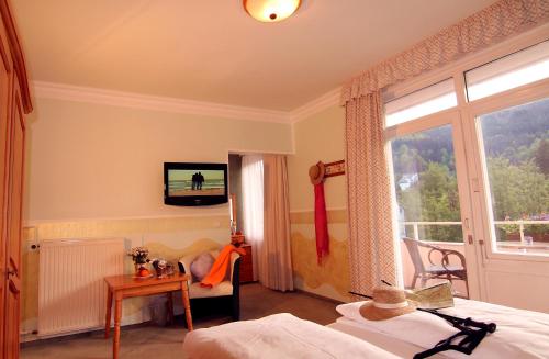 Televisyen dan/atau pusat hiburan di Hotel Weingärtner