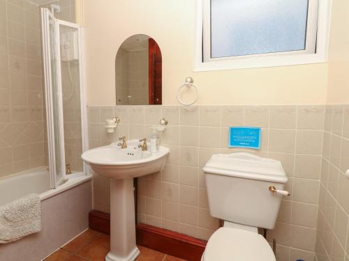 a bathroom with a toilet and a sink and a mirror at The Bushel in Bideford