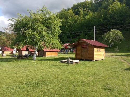 a small cabin in a field with a tree at Camp &Apartmens Scepanovic in Mojkovac