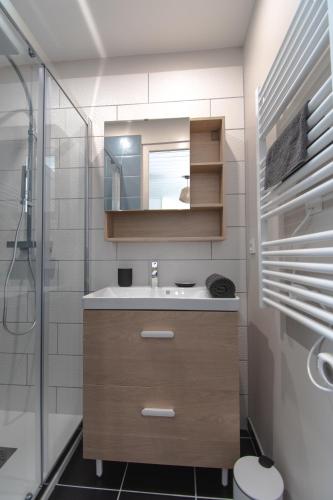 une salle de bain avec un lavabo, un miroir et une douche dans l'établissement Appartement Opale Bourg d'Oisans, au Bourg-dʼOisans