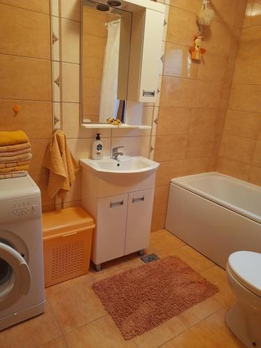 a bathroom with a sink and a washing machine at Kuća - vikendica in Kotor