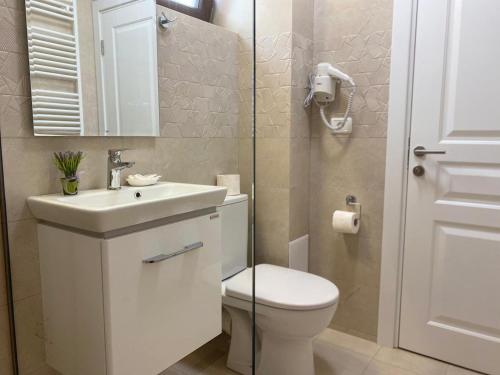 La salle de bains est pourvue de toilettes, d'un lavabo et d'un miroir. dans l'établissement VILA MRV, à Constanţa