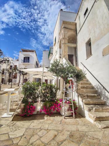 Foto WePuglia - Santo Cosma - Domvito 6