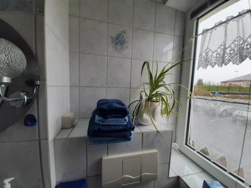uma casa de banho com uma toalha azul numa prateleira ao lado de uma janela em Ferienwohnung Waldblick Oberhof em Oberhof