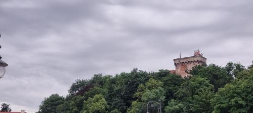 a castle on top of a hill with trees at Zamek Otmuchów in Otmuchów