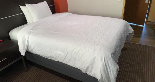 a bedroom with a bed with a white comforter at Hotel Vinea Healdsburg in Healdsburg