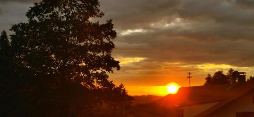 a sunset with the sun setting behind a tree at Erd´s Hoimatle Ferienwohnung in Jungholz