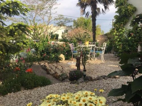 Chez Brown – Photos 5