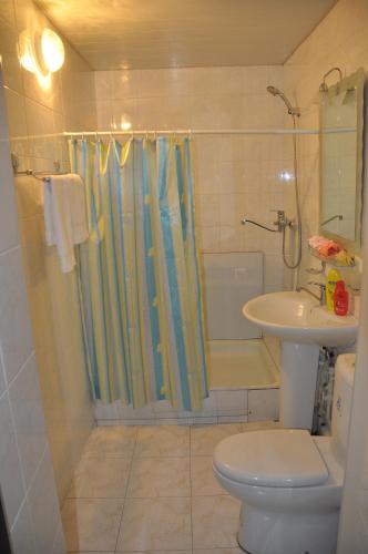 a bathroom with a shower and a toilet and a sink at Hotel Samarkand Safar in Samarkand