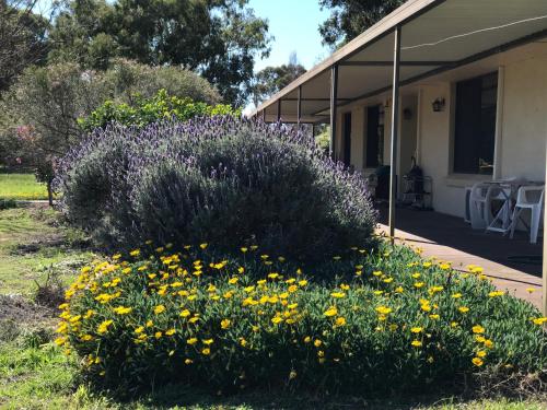 Cockburn Central