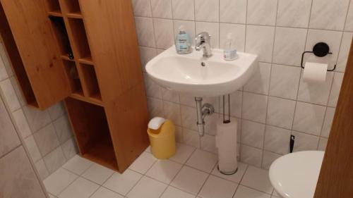 ein Bad mit einem Waschbecken und einem WC in der Unterkunft Ferienwohnung Eddi in Reichenbach im Vogtland