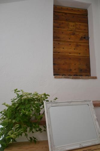 a picture frame and a plant next to a wall at B&B da Baba in Ghizzano