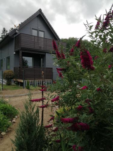 a house with pink flowers in front of it at Domek Ostoja rodzinna u Grzybka in Nadole