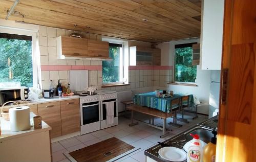 Kuchyň nebo kuchyňský kout v ubytování Amber house LT