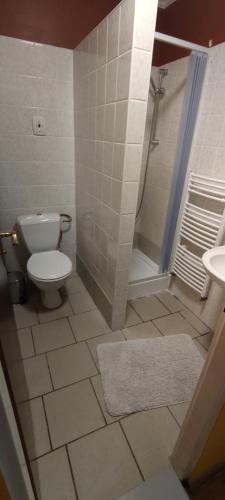 a bathroom with a toilet and a shower and a sink at Penzion Libertas Mariánské Lázně in Mariánské Lázně