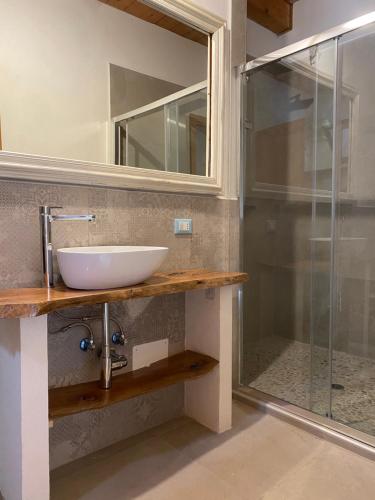 a bathroom with a sink and a shower at Agriturismo San Michele in San Michele