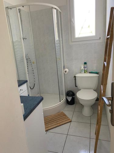une salle de bain avec une douche, des toilettes et un lavabo dans l'établissement Appt avec parking, clim, wifi à 50 m de la plage, à Palavas-les-Flots