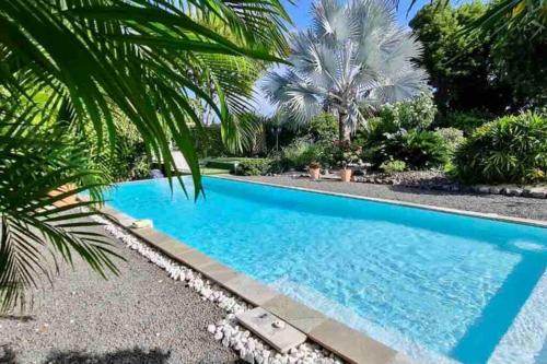 サン・フランソワにあるVilla 5 étoiles Piscine à débordement accès PMRのヤシの木が茂る庭のスイミングプール