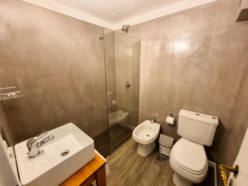 a bathroom with a toilet and a sink and a shower at Hosteria Las Lucarnas in San Martín de los Andes