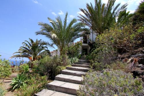 Un escalier mène à une maison avec des palmiers. dans l'établissement Casa Rural Vista del Mar, à Hermigua