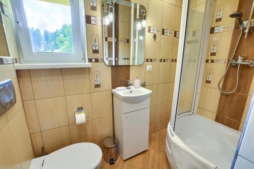 uma casa de banho com um WC, um lavatório e um chuveiro em Słoneczny Domek em Szklarska Poręba