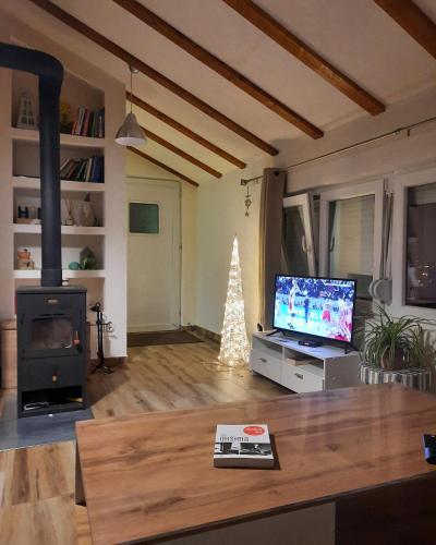 TV a/nebo společenská místnost v ubytování Villa Jasikovac