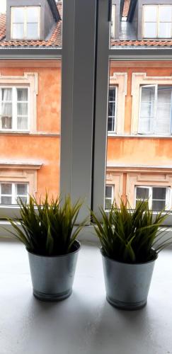 two potted plants sitting on a window sill at Apartament Old Town Piwna in Warsaw