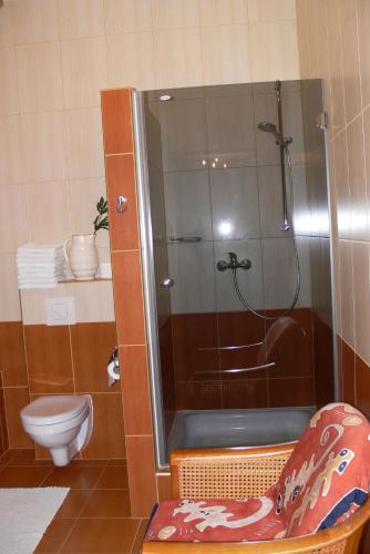 a bathroom with a shower and a toilet at Dworek Karpińskich in Sandomierz